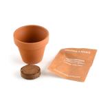 Radis et Capucine - Mini kit Fraisier - Terre Cuite - 6 cm - MEDIA_EN_SITUATION_2